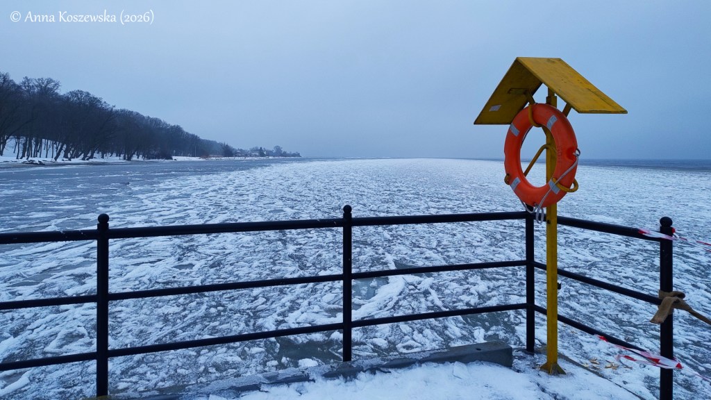 Zimowy spacer wzdłuż wybrzeża Zatoki Puckiej