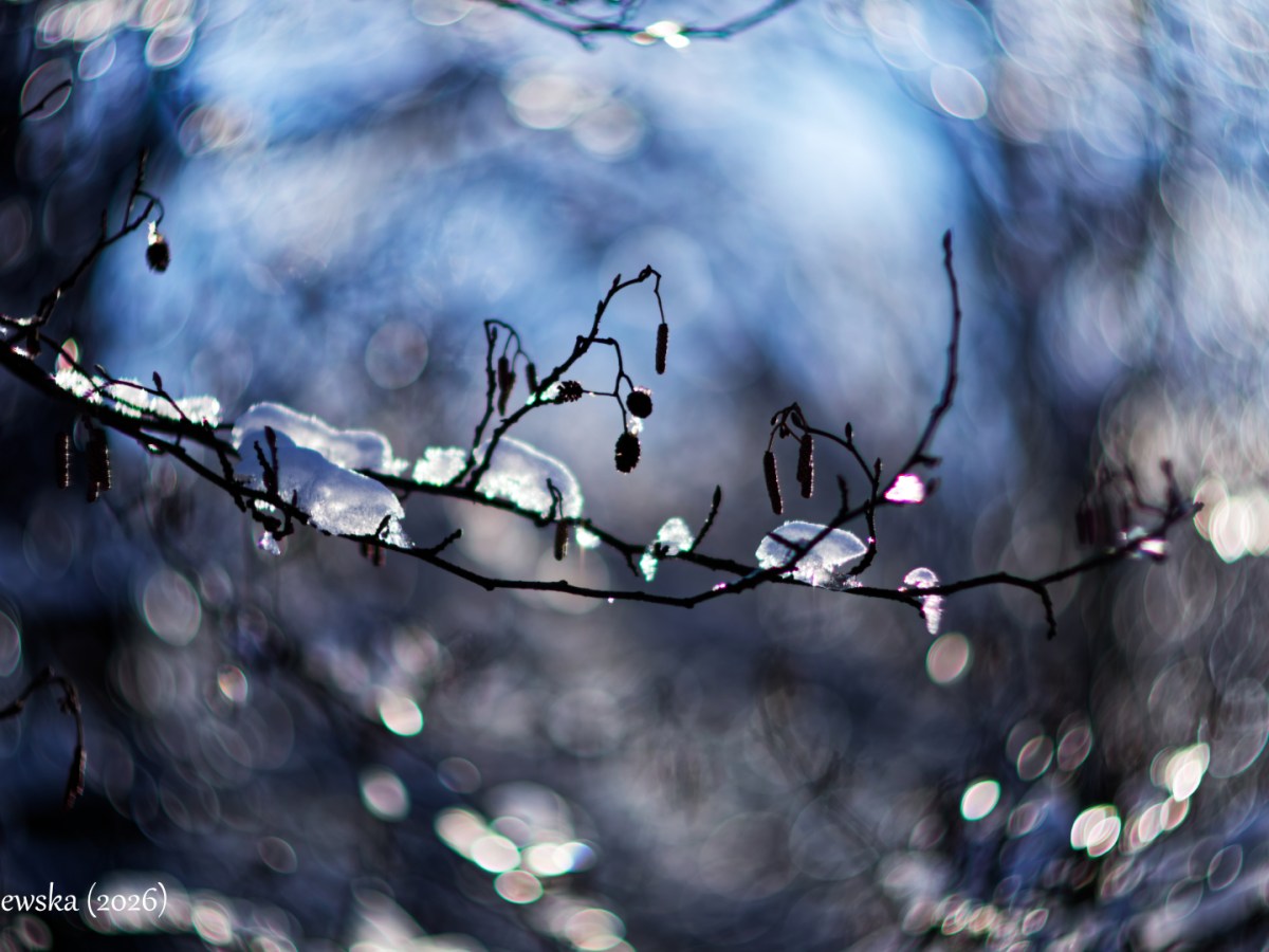 Powalentynkowy spacer po&nbsp;Wejherowie