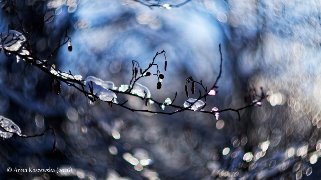 Powalentynkowy spacer po Wejherowie